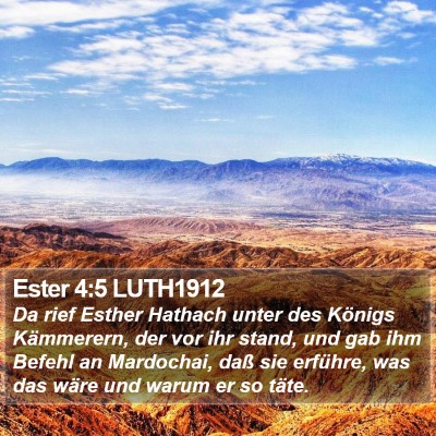 Ester 4:5 LUTH1912 Bible Verse Image