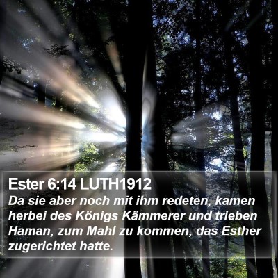 Ester 6:14 LUTH1912 Bible Verse Image