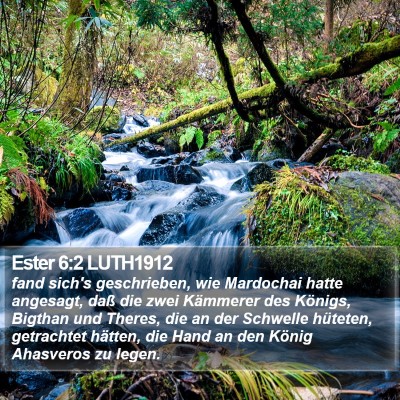 Ester 6:2 LUTH1912 Bible Verse Image