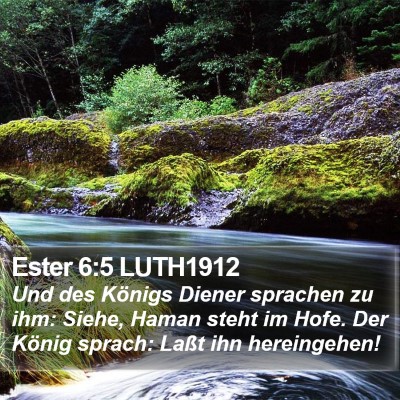 Ester 6:5 LUTH1912 Bible Verse Image