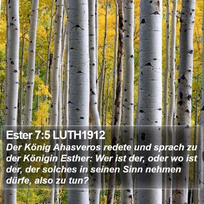 Ester 7:5 LUTH1912 Bible Verse Image