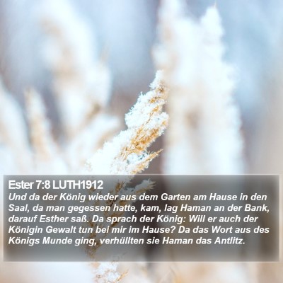 Ester 7:8 LUTH1912 Bible Verse Image
