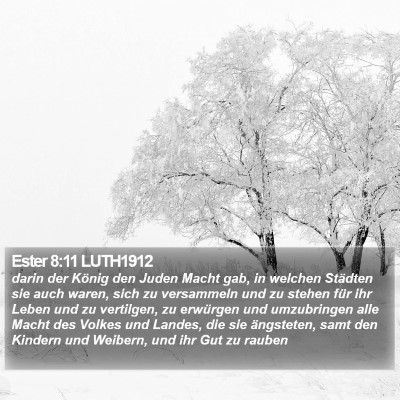 Ester 8:11 LUTH1912 Bible Verse Image