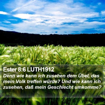 Ester 8:6 LUTH1912 Bible Verse Image