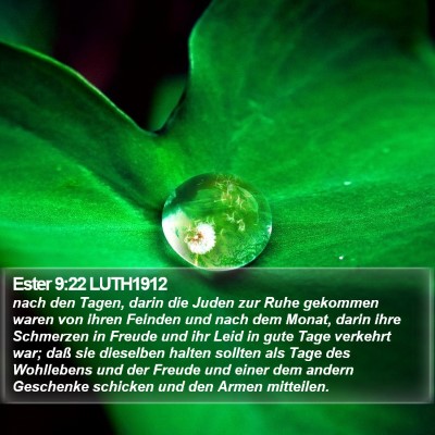 Ester 9:22 LUTH1912 Bible Verse Image