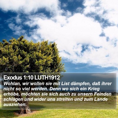 Exodus 1:10 LUTH1912 Bible Verse Image