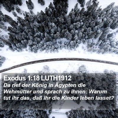 Exodus 1:18 LUTH1912 Bible Verse Image