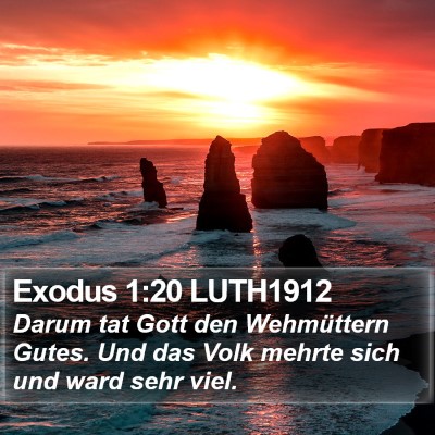 Exodus 1:20 LUTH1912 Bible Verse Image