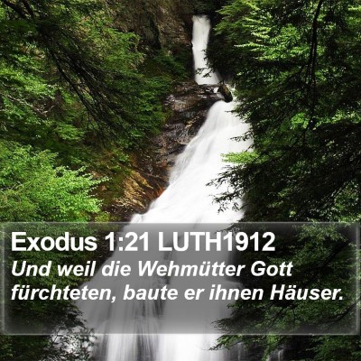 Exodus 1:21 LUTH1912 Bible Verse Image