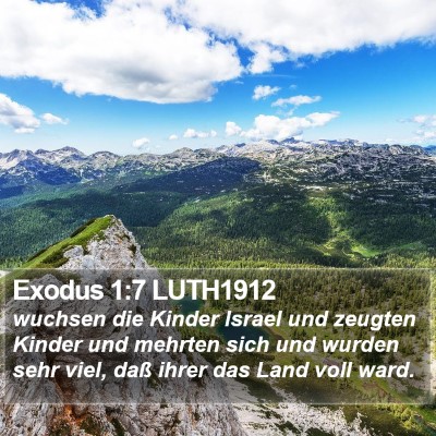 Exodus 1:7 LUTH1912 Bible Verse Image