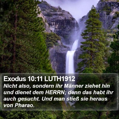 Exodus 10:11 LUTH1912 Bible Verse Image
