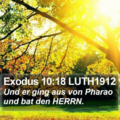 Exodus 10:18 LUTH1912 Bible Verse Image