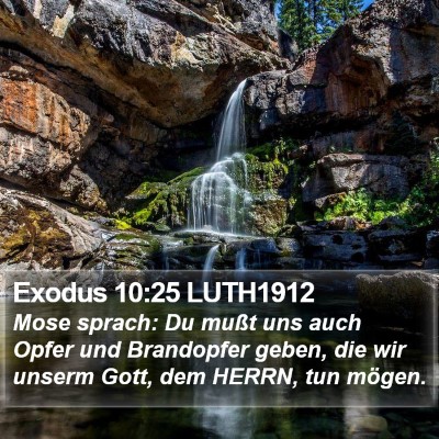 Exodus 10:25 LUTH1912 Bible Verse Image