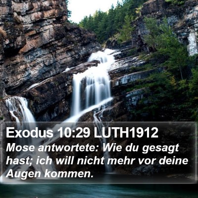 Exodus 10:29 LUTH1912 Bible Verse Image