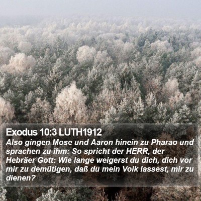 Exodus 10:3 LUTH1912 Bible Verse Image