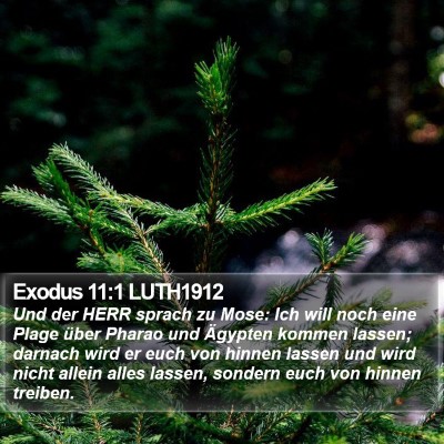 Exodus 11:1 LUTH1912 Bible Verse Image