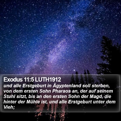 Exodus 11:5 LUTH1912 Bible Verse Image