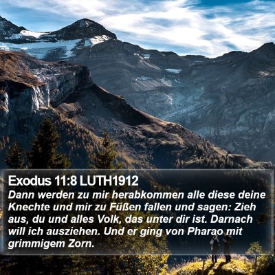 Exodus 11:8 LUTH1912 Bible Verse Image