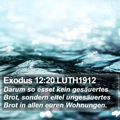 Exodus 12:20 LUTH1912 Bible Verse Image