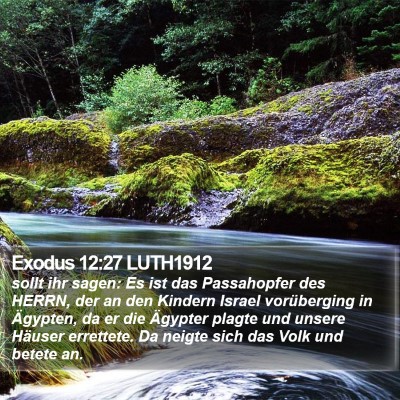 Exodus 12:27 LUTH1912 Bible Verse Image