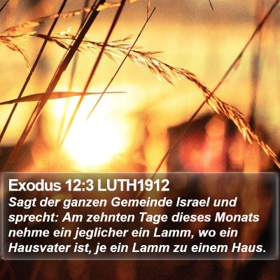 Exodus 12:3 LUTH1912 Bible Verse Image