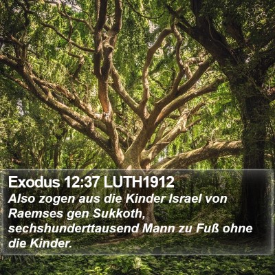 Exodus 12:37 LUTH1912 Bible Verse Image