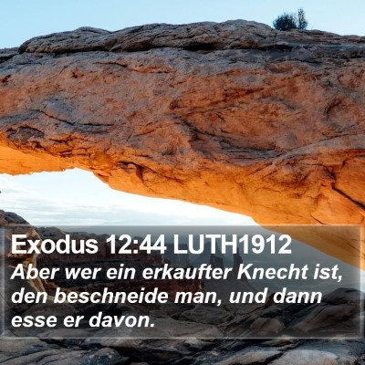Exodus 12:44 LUTH1912 Bible Verse Image