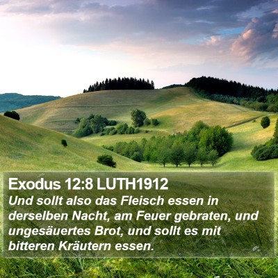 Exodus 12:8 LUTH1912 Bible Verse Image