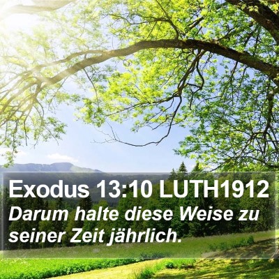 Exodus 13:10 LUTH1912 Bible Verse Image