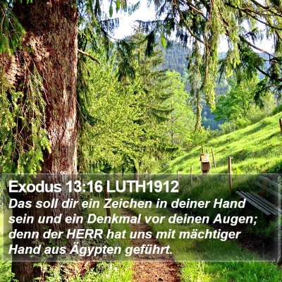 Exodus 13:16 LUTH1912 Bible Verse Image