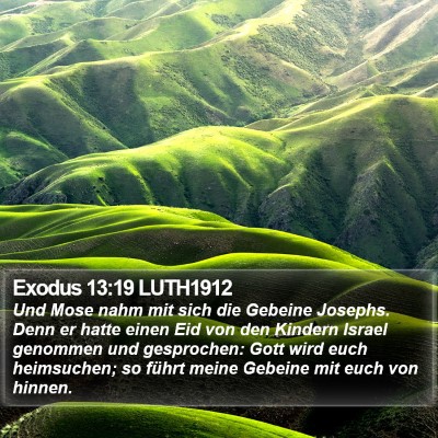Exodus 13:19 LUTH1912 Bible Verse Image