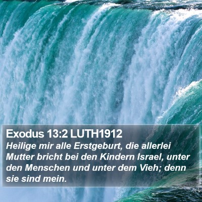 Exodus 13:2 LUTH1912 Bible Verse Image