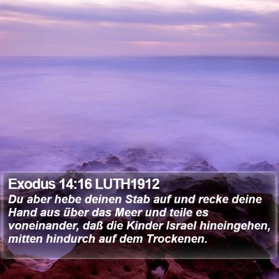 Exodus 14:16 LUTH1912 Bible Verse Image