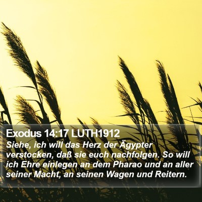 Exodus 14:17 LUTH1912 Bible Verse Image