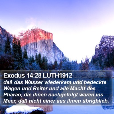 Exodus 14:28 LUTH1912 Bible Verse Image