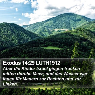 Exodus 14:29 LUTH1912 Bible Verse Image