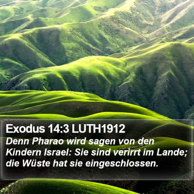 Exodus 14:3 LUTH1912 Bible Verse Image