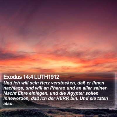 Exodus 14:4 LUTH1912 Bible Verse Image