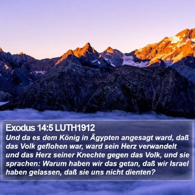 Exodus 14:5 LUTH1912 Bible Verse Image