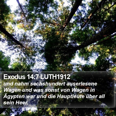 Exodus 14:7 LUTH1912 Bible Verse Image