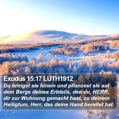 Exodus 15:17 LUTH1912 Bible Verse Image