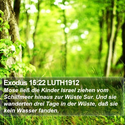 Exodus 15:22 LUTH1912 Bible Verse Image
