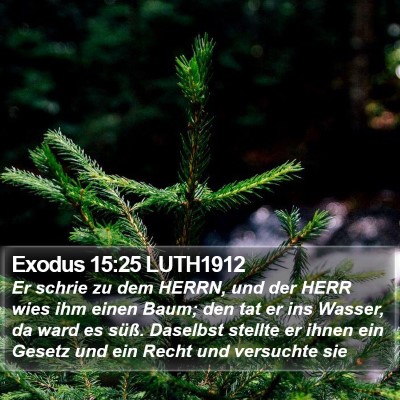 Exodus 15:25 LUTH1912 Bible Verse Image