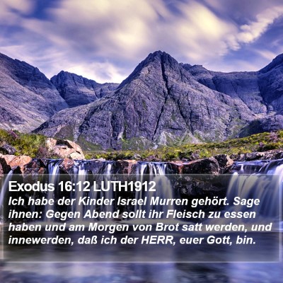 Exodus 16:12 LUTH1912 Bible Verse Image
