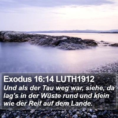 Exodus 16:14 LUTH1912 Bible Verse Image