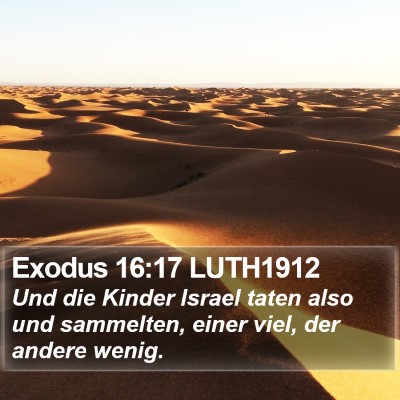 Exodus 16:17 LUTH1912 Bible Verse Image