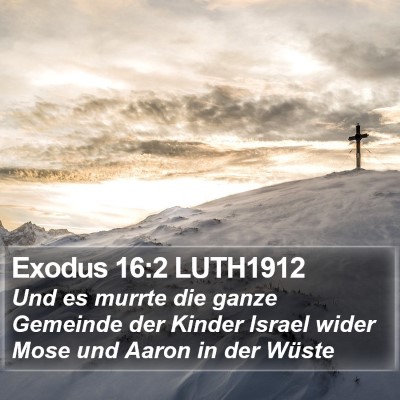 Exodus 16:2 LUTH1912 Bible Verse Image