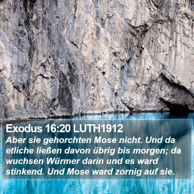 Exodus 16:20 LUTH1912 Bible Verse Image