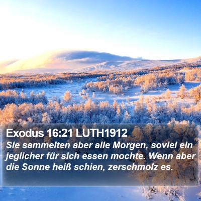 Exodus 16:21 LUTH1912 Bible Verse Image