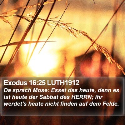 Exodus 16:25 LUTH1912 Bible Verse Image